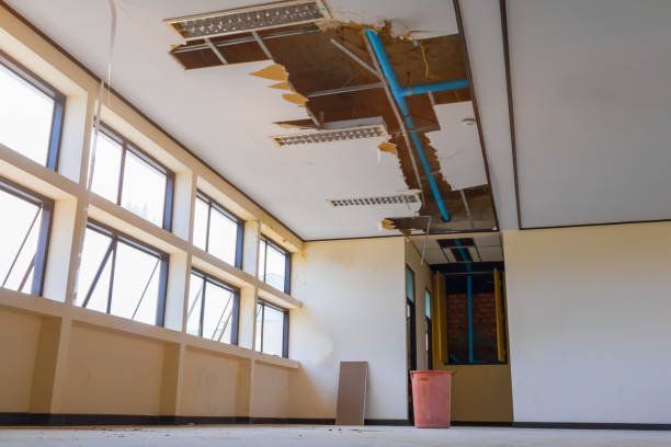 Best Flood restoration services  in Poteet, TX