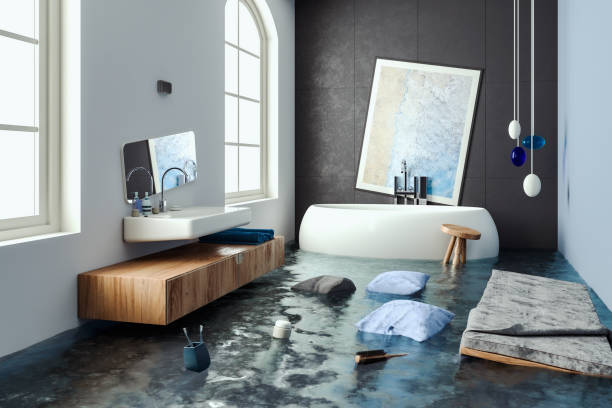 Best Mold removal after water damage  in Poteet, TX