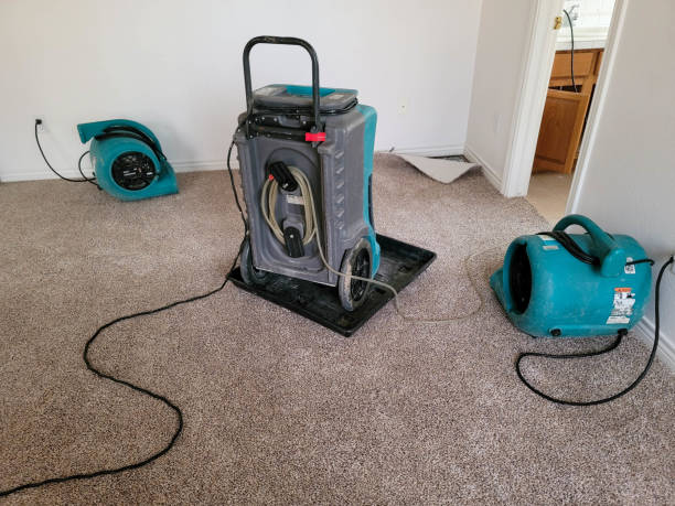 Sewage cleanup and water damage restoration in Poteet, TX