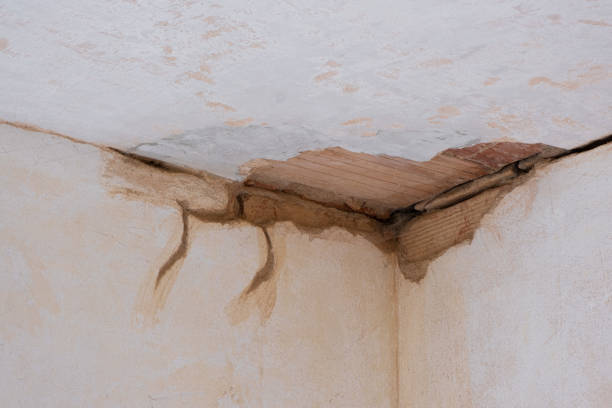 Best 24-hour water damage restoration  in Poteet, TX