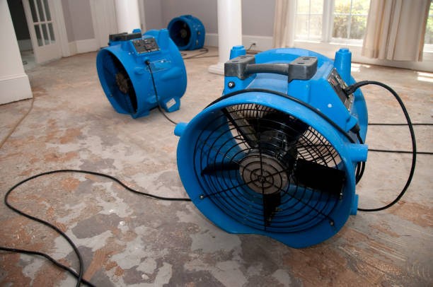 Best Flood damage cleanup  in Poteet, TX