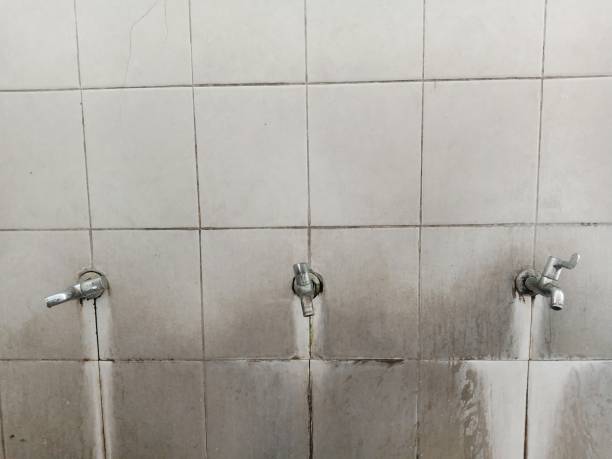 Best Water damage cleanup near me  in Poteet, TX