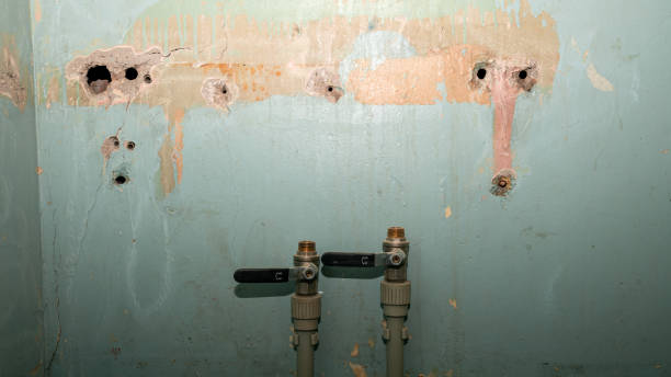 Best Fire Damage Restoration  in Poteet, TX